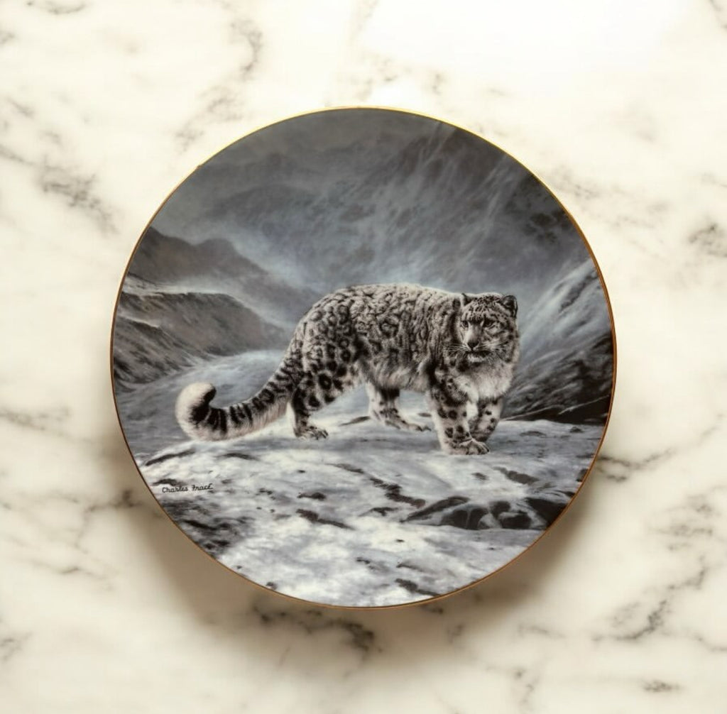 English Porcelain Plate – Tiger Motif
