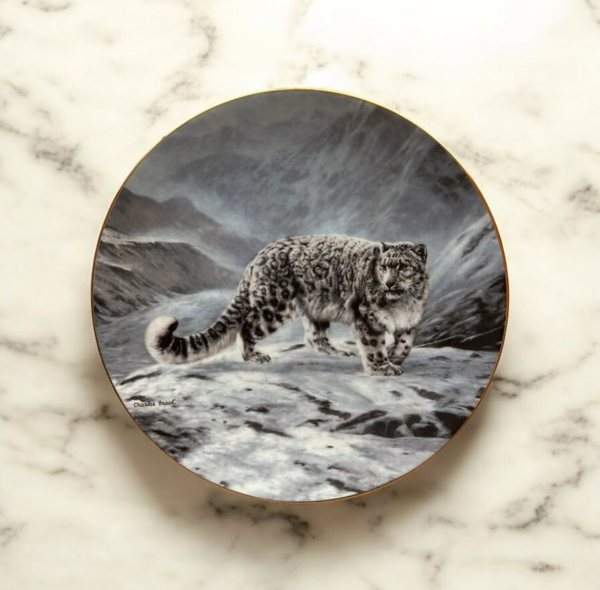 English Porcelain Plate – Tiger Motif