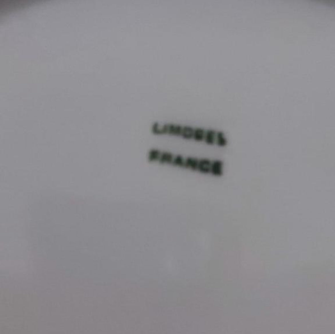French Limoges Porcelain Plate