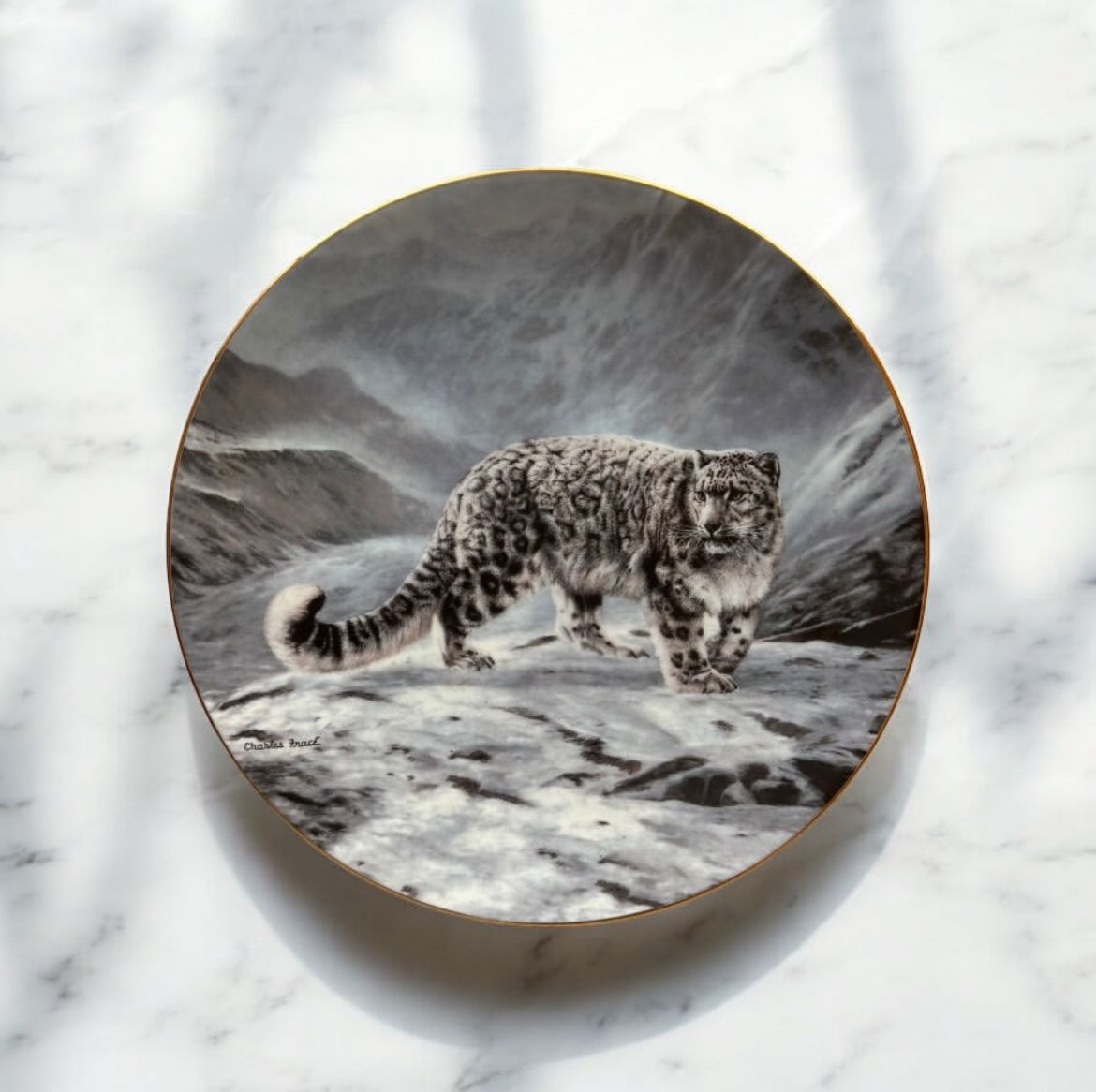English Porcelain Plate – Tiger Motif