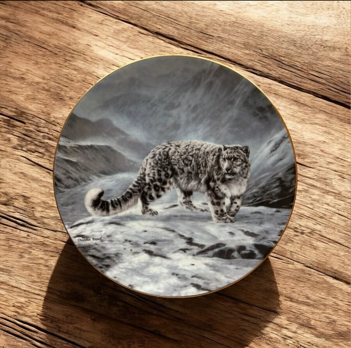 English Porcelain Plate – Tiger Motif